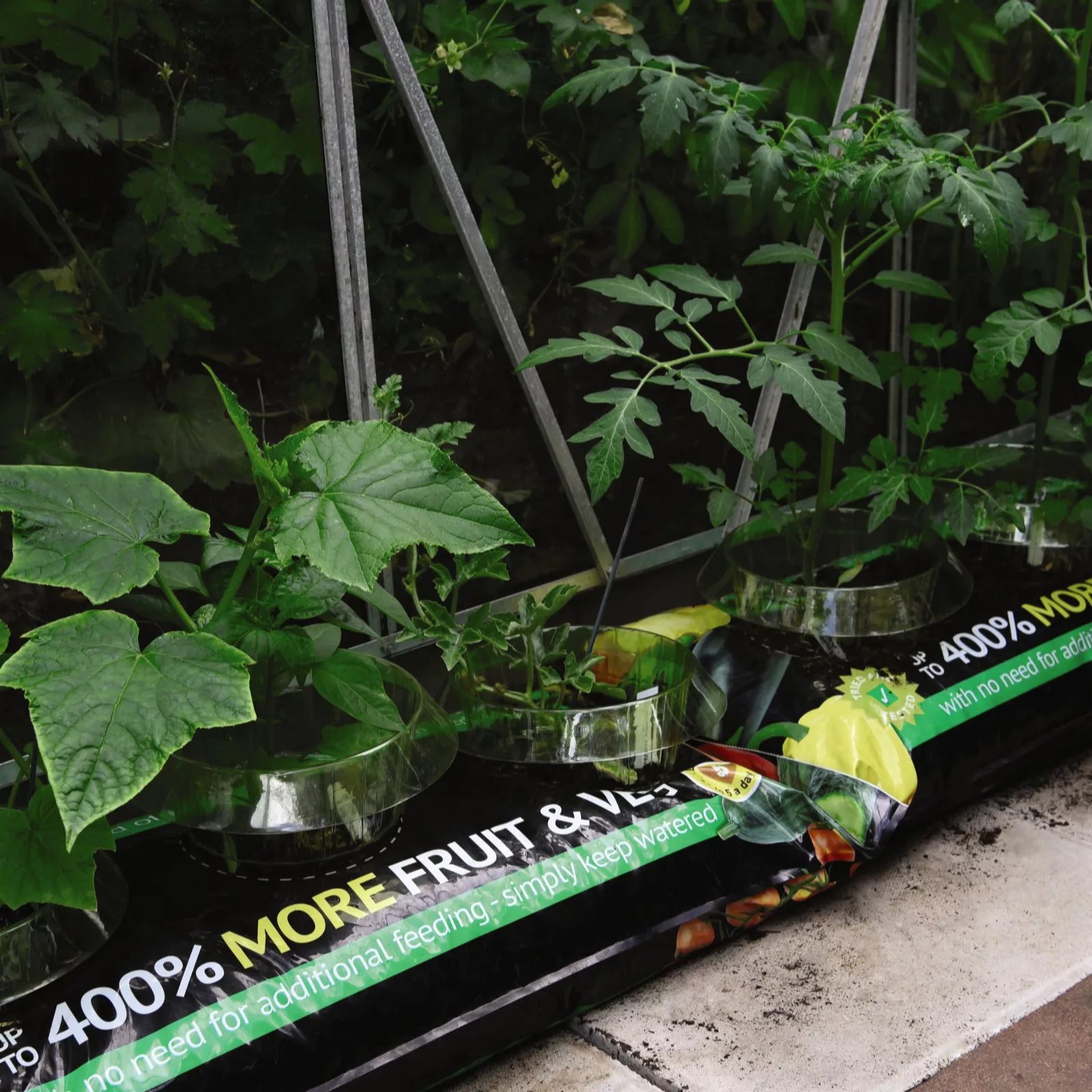 Incredicrop Grow Bag 35 Litre Bag x2 + Incredicrop 100g x2 QVC UK