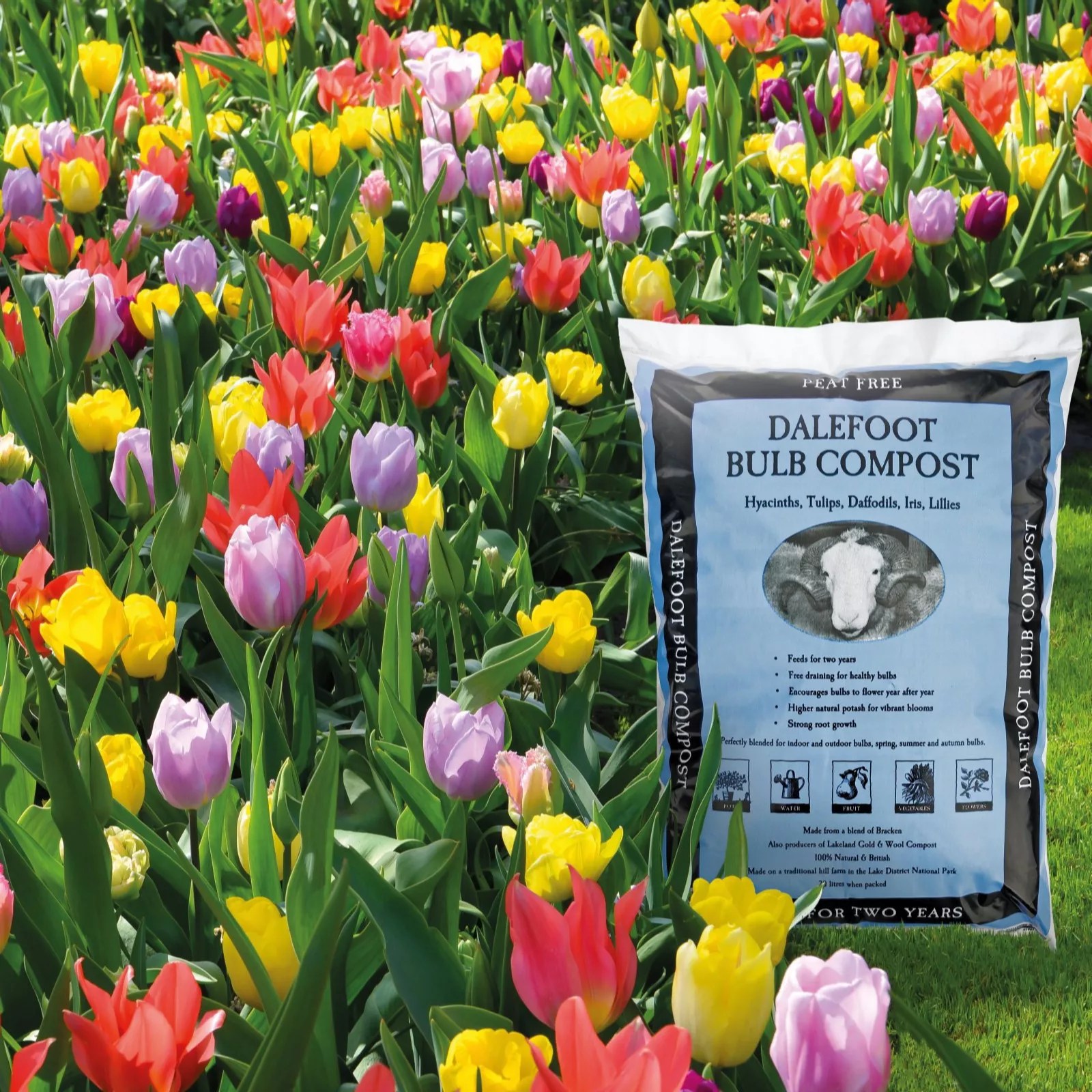 Dalefoot Bulb Peat Free Compost 20 Litres QVC UK