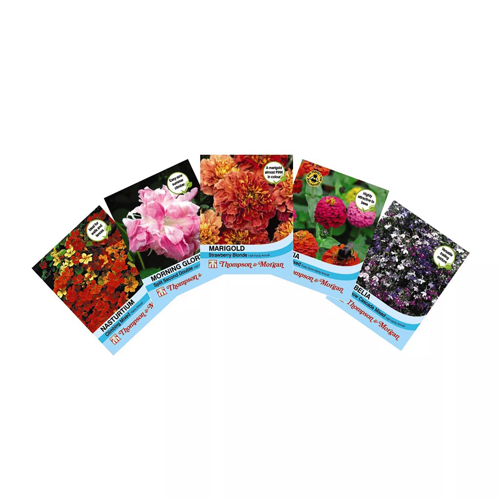 Nurserymans Choice Flower Seed 25 Packet QVC UK