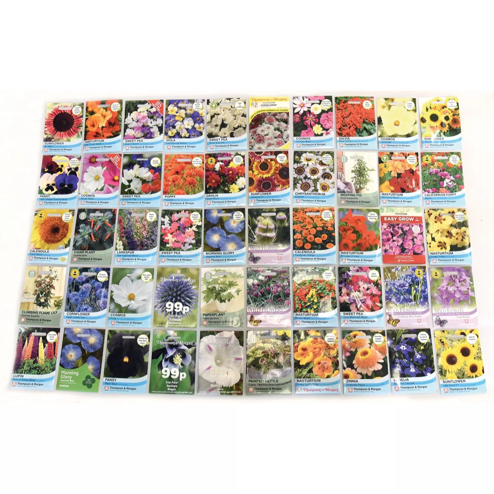 Nurserymans Choice Flower Seed 50 Packet QVC UK