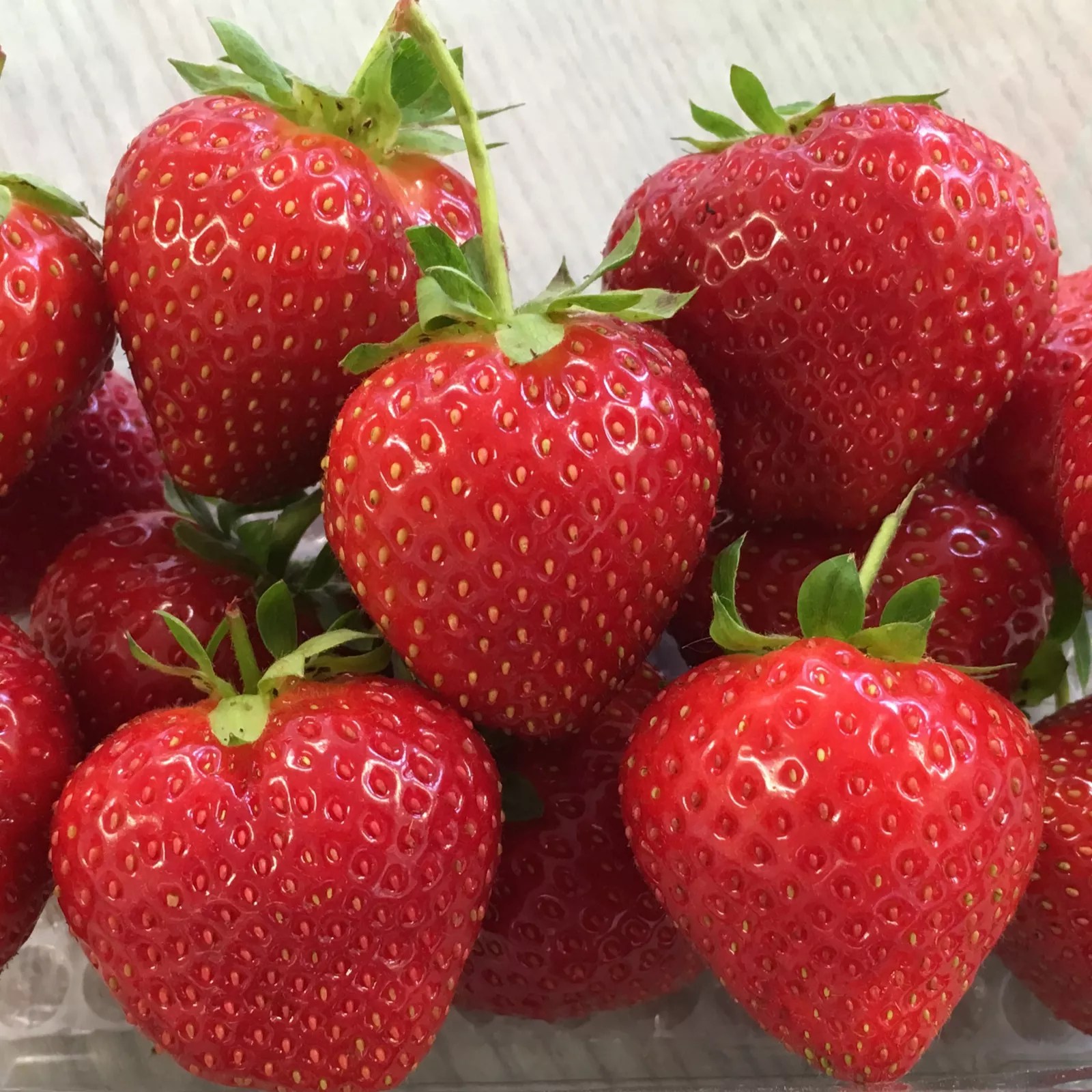 Richard Jackson's Nursery Fresh Strawberries 15 x Bare Root Plants QVC UK