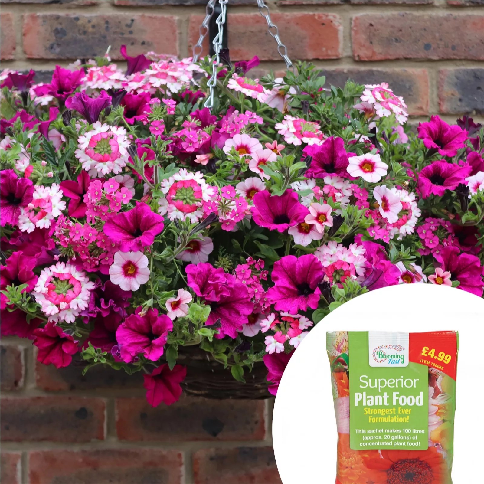 YouGarden Set of 2 PrePlanted Hanging Baskets with Fertiliser QVC UK