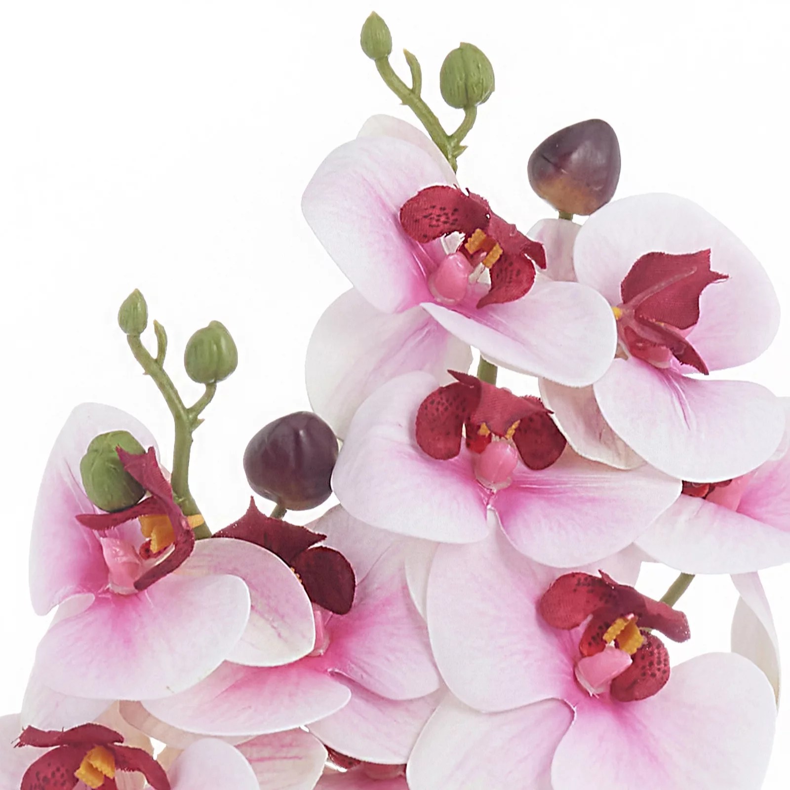 Home Reflections Set of 2 Real Touch Orchids In a Ceramic Pot QVC UK