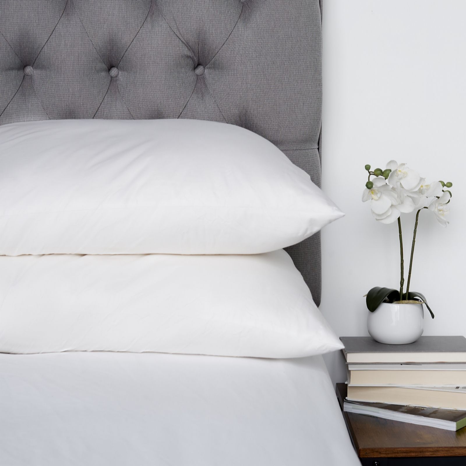 Pur Feather by Northern Nights Ultimate Comfort Feather Pillow Pair