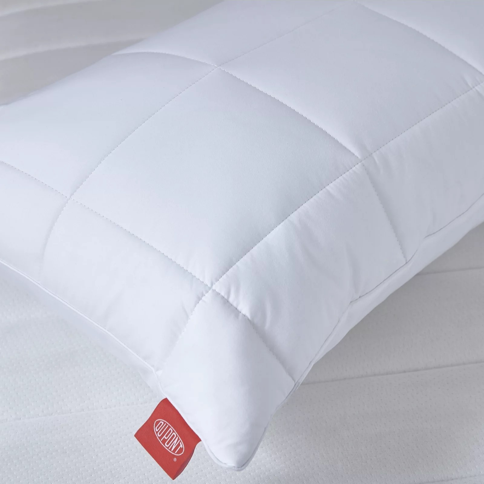 Sealy Cotton Cloud DuPont Pillow QVC UK