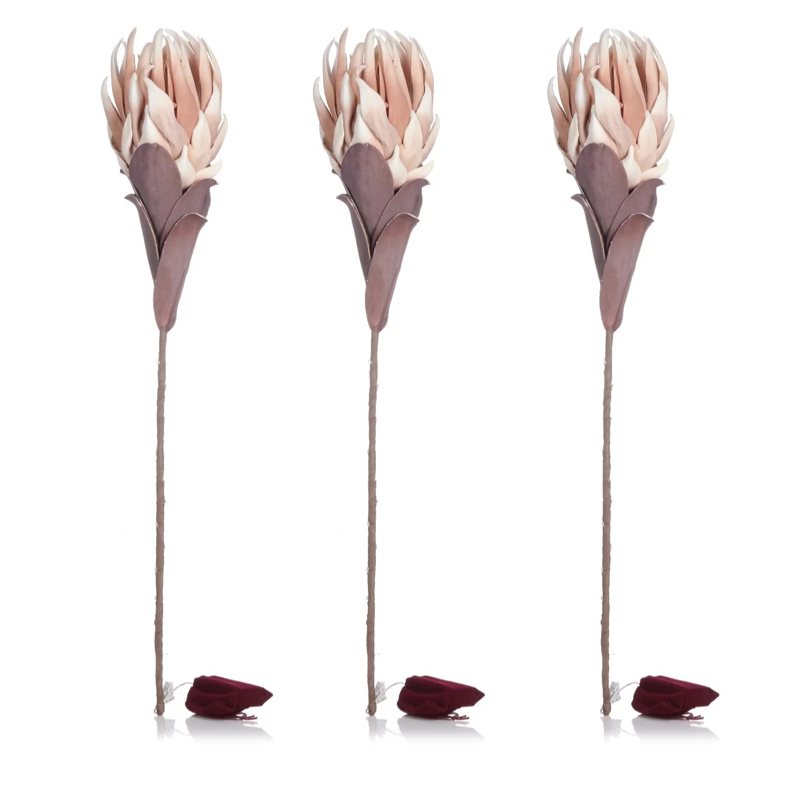 Alison Cork Set of 3 Protea PreLit Faux Floral Stems QVC UK