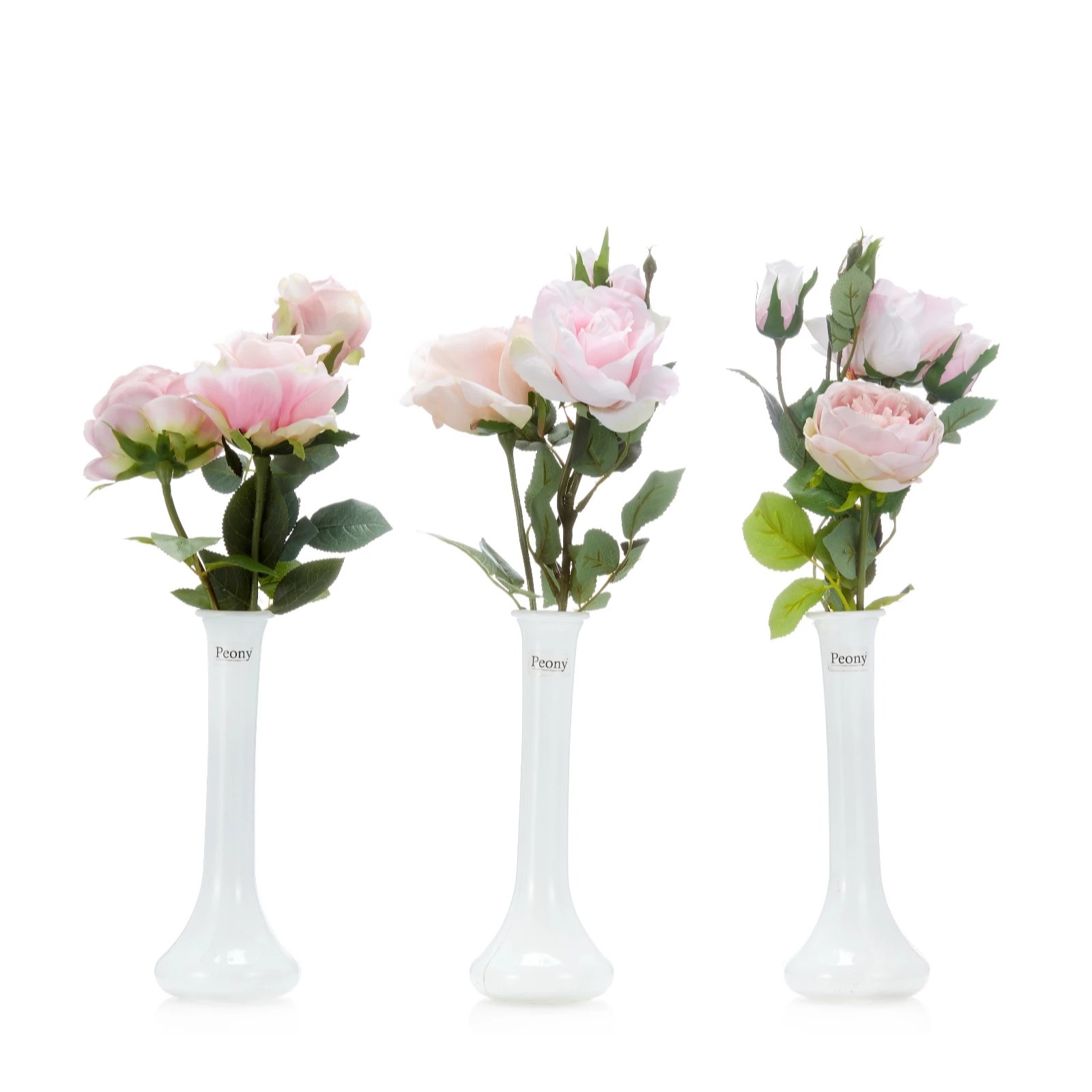 Peony Ruckley English Rose Set of 3 Roses in Tall White Vases QVC UK