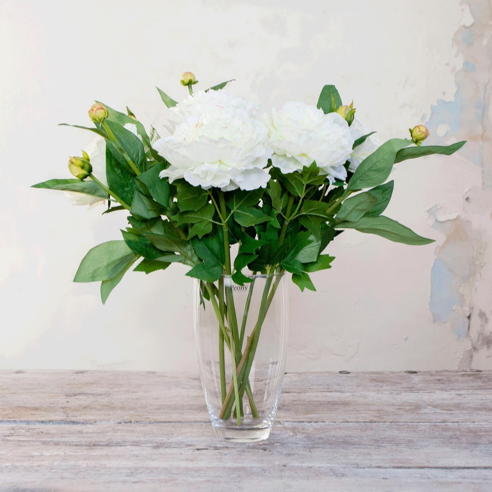 Peony Peonies & Buds in a Glass Vase QVC UK