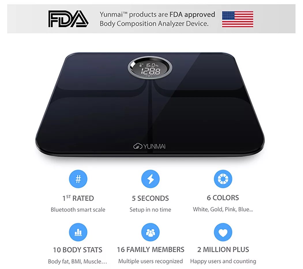Best Body Fat Scales of 2024