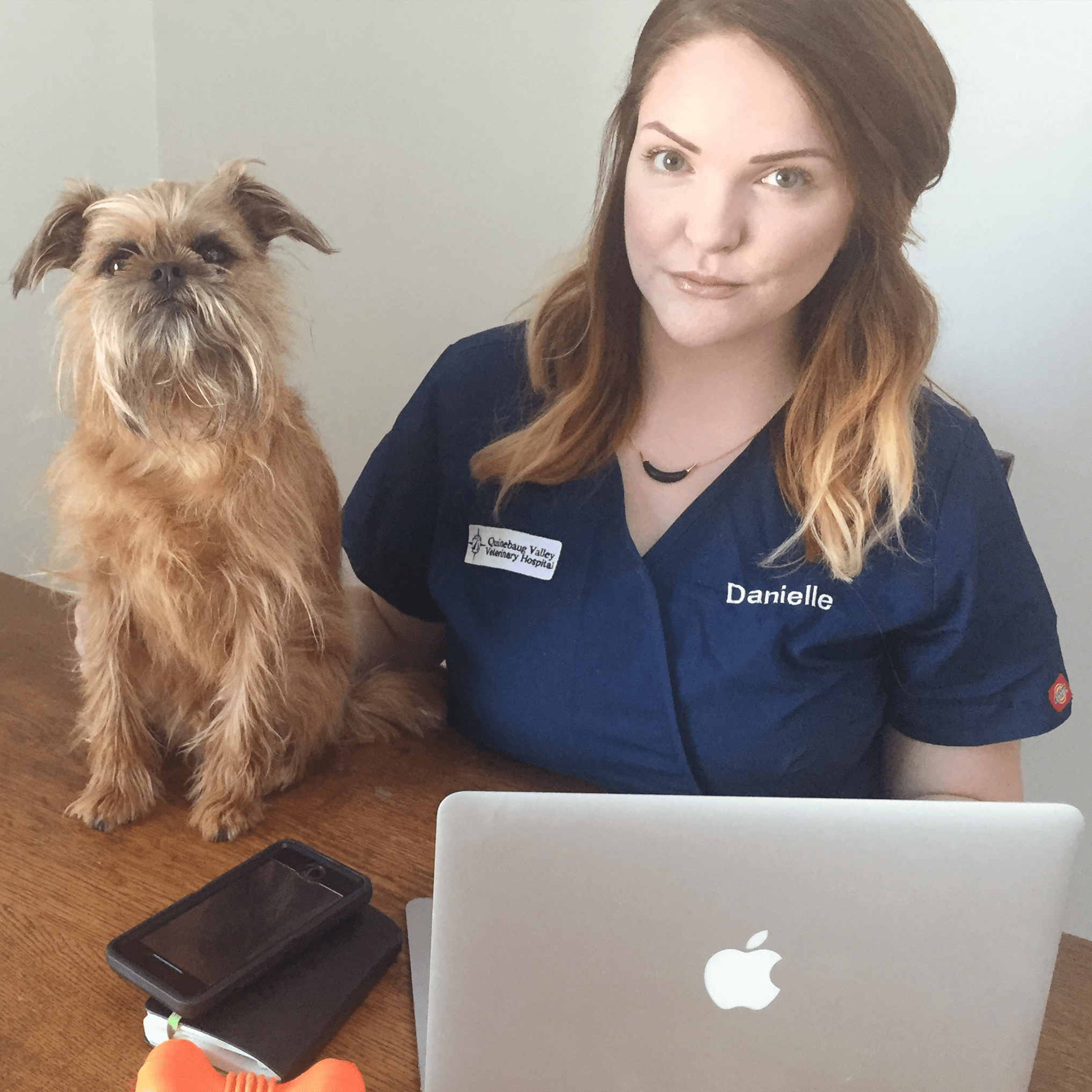 untitled1 Quinebaug Valley Veterinary Hospital