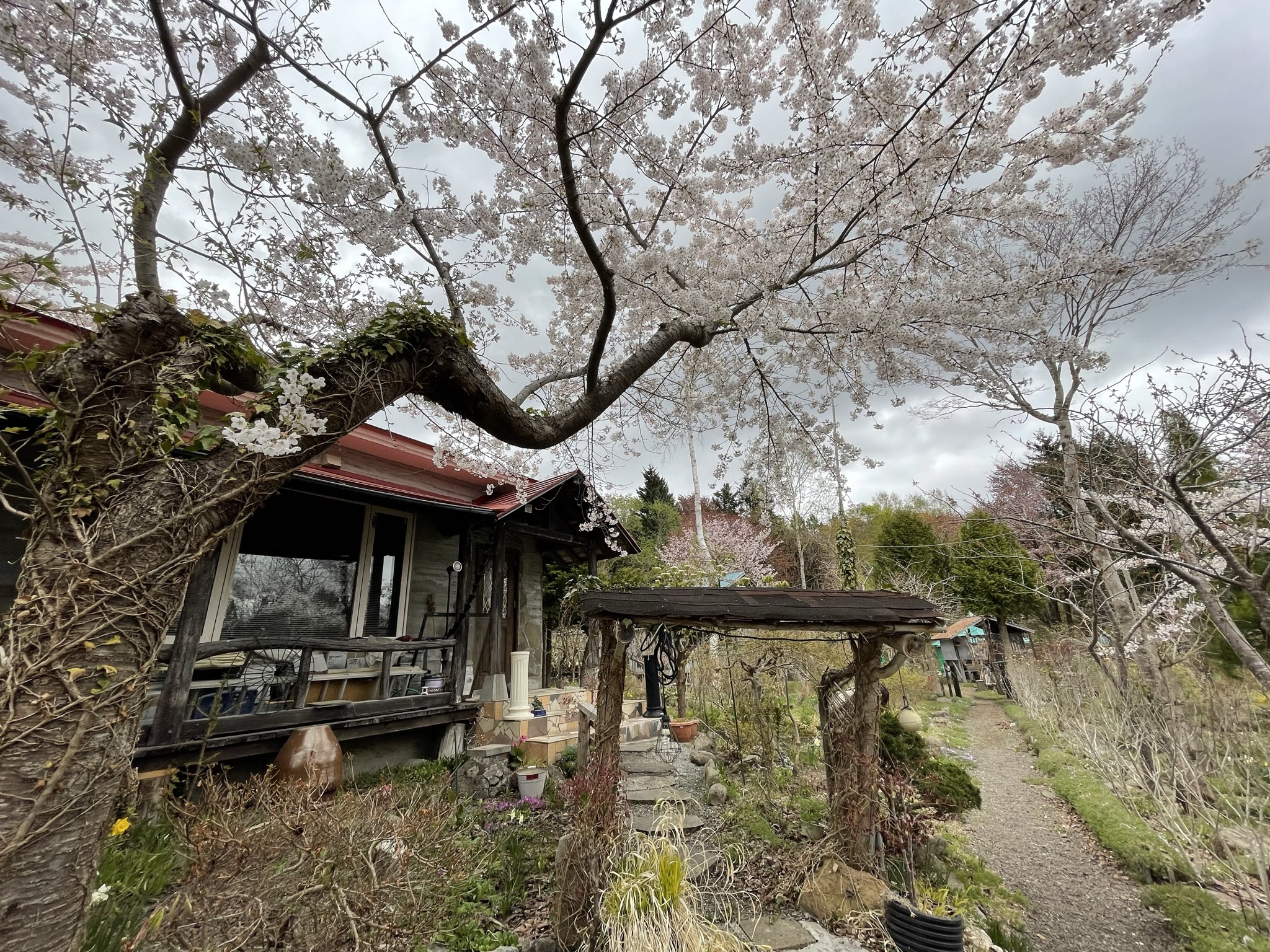 【売買 For Sale】北海道七飯町峠下 野菜・果物採れる199坪土地 / Land in Togeshita, Nanaecho