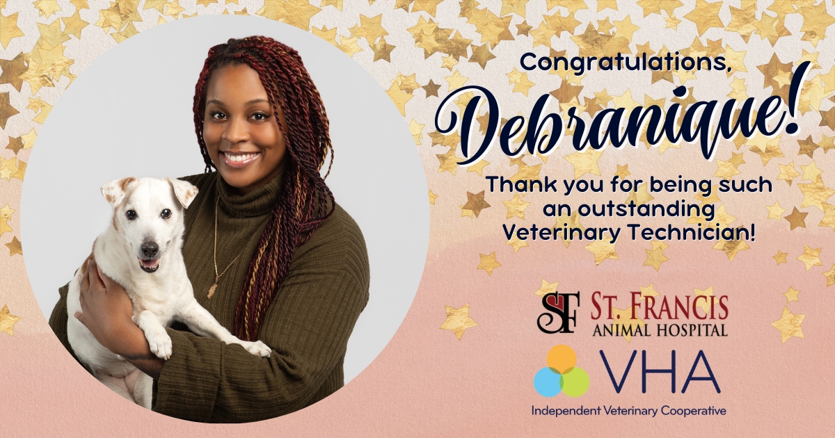 October Newsletter Important Construction Updates! St Francis Animal Hospital