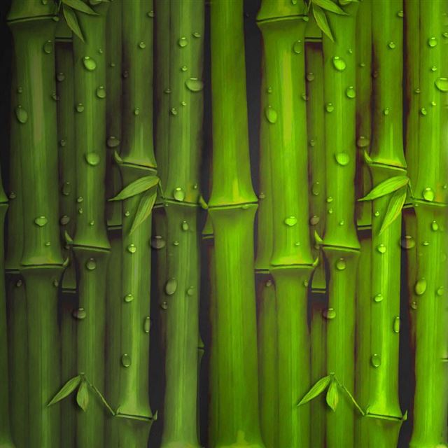 Vector Bamboo iPad Wallpapers Free Download