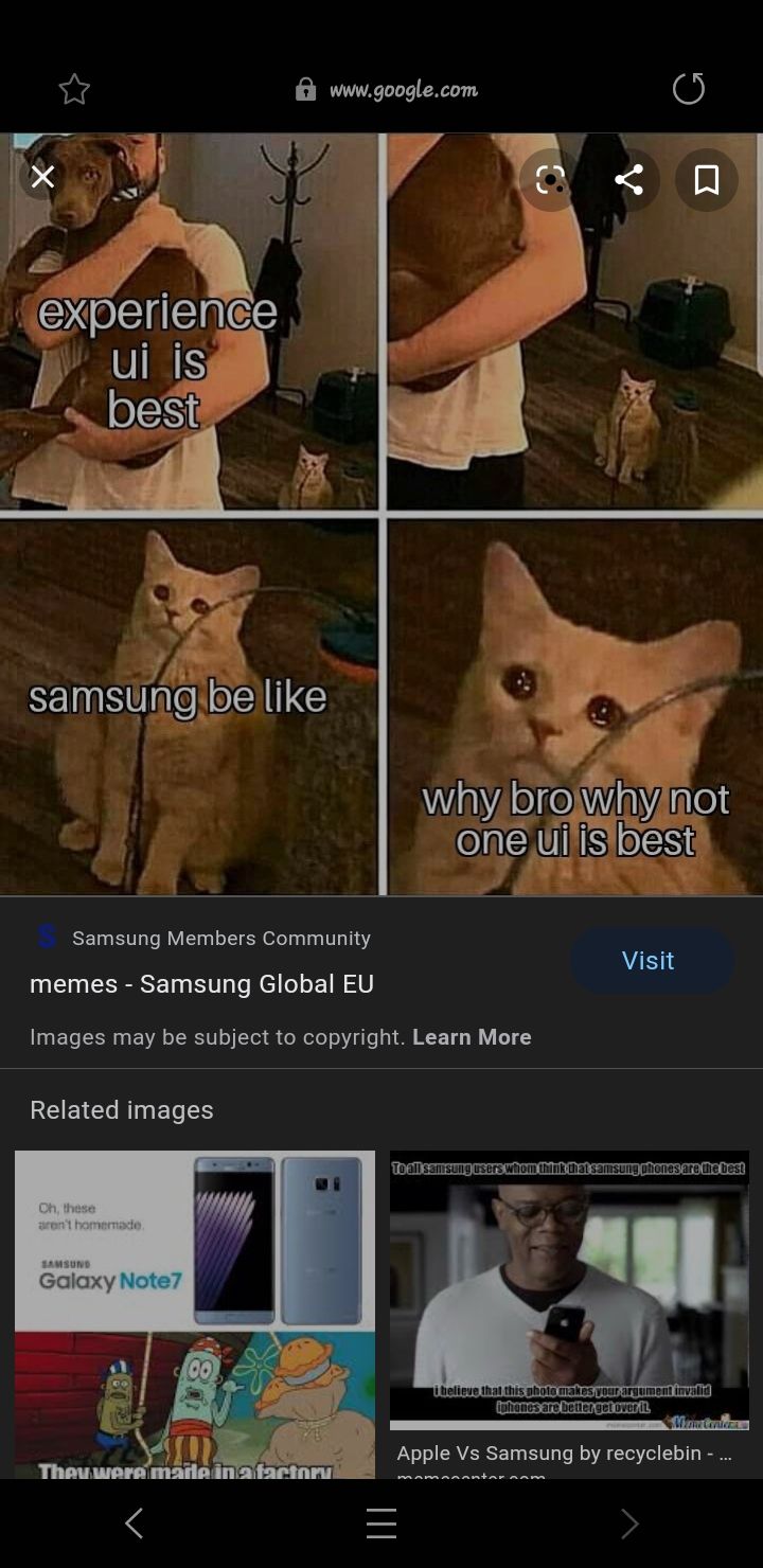 my memes can be searchable on Samsung Members