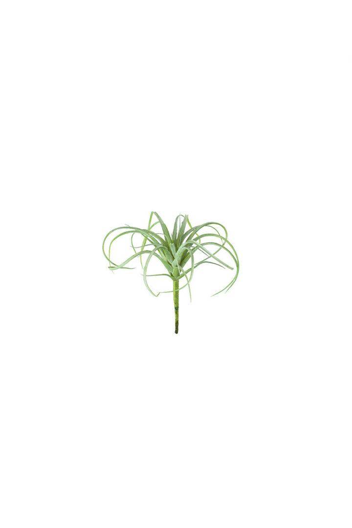 Air Plant Artificial Linabella
