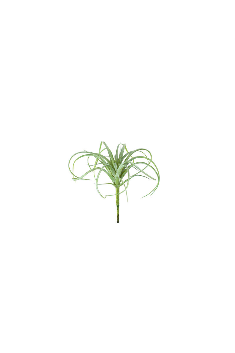 Air Plant Artificial Linabella