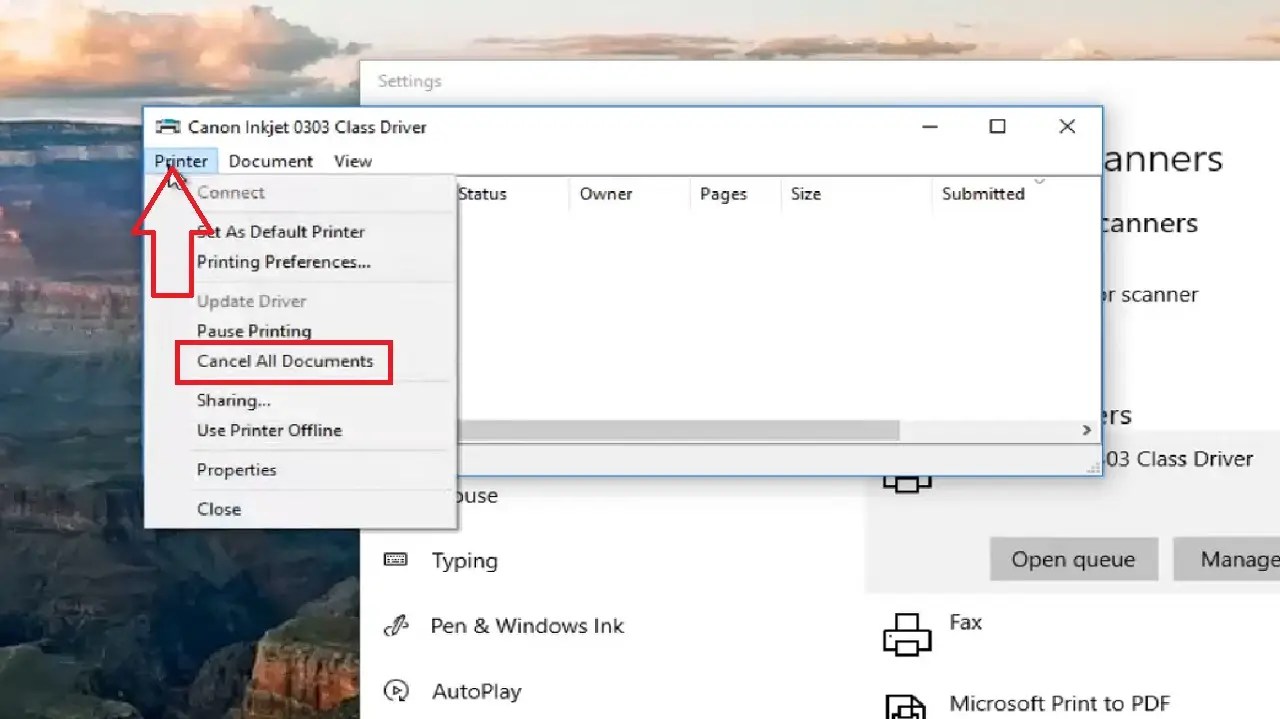 Network Printing Not Working How to Fix This Issue?