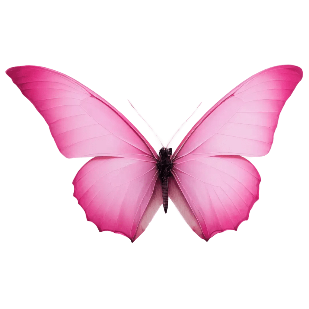 Exquisite Pink Butterfly PNG Image Create Stunning Visuals with Clarity