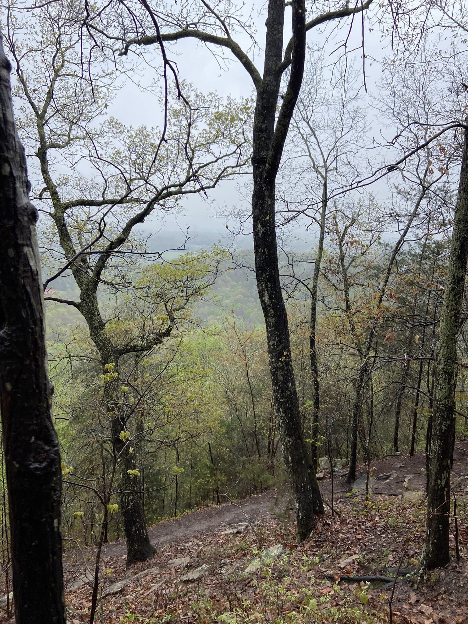 House Mountain Hike 2023 Respect and Remember Foundation Inc