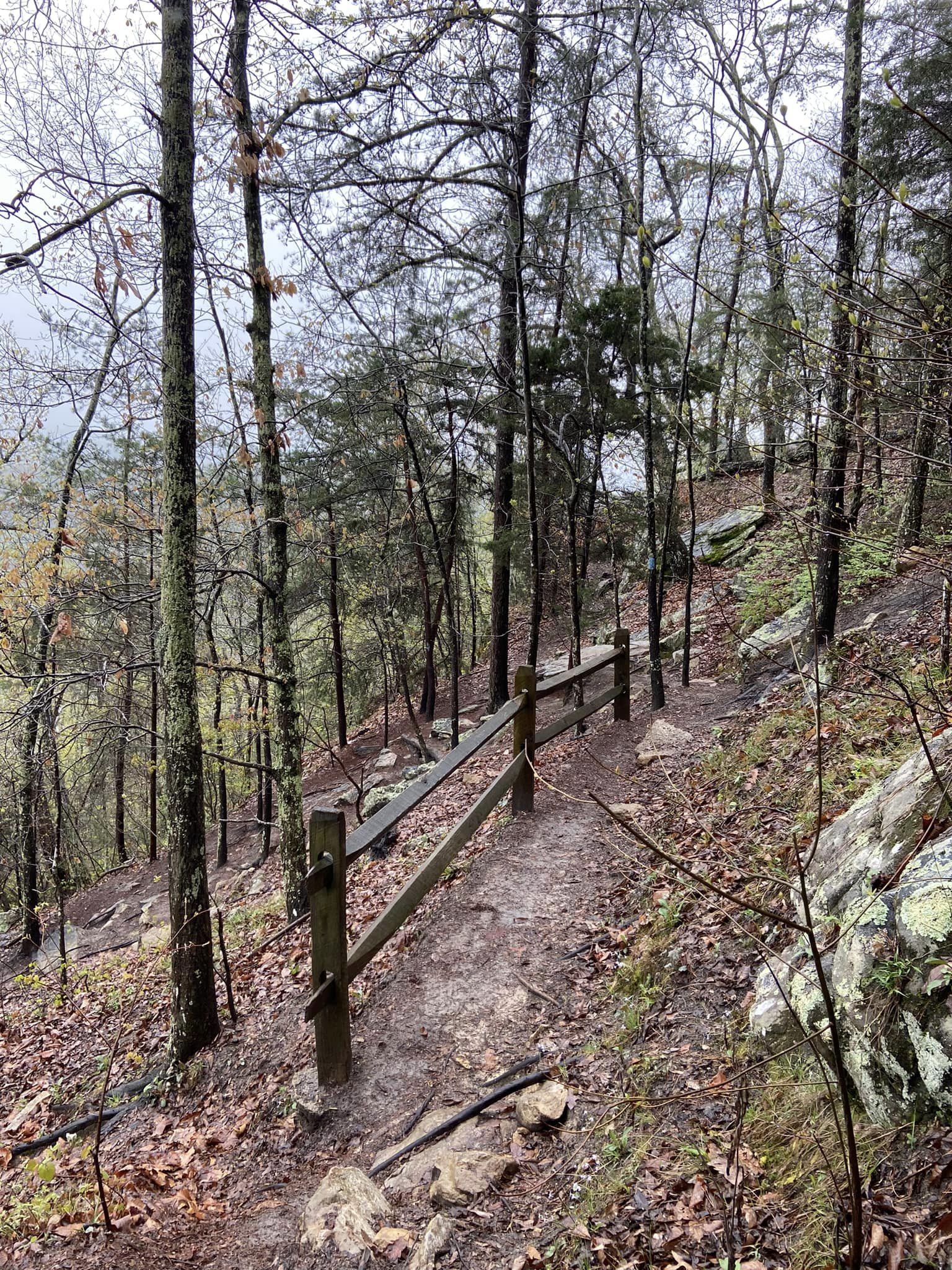 House Mountain Hike 2023 Respect and Remember Foundation Inc