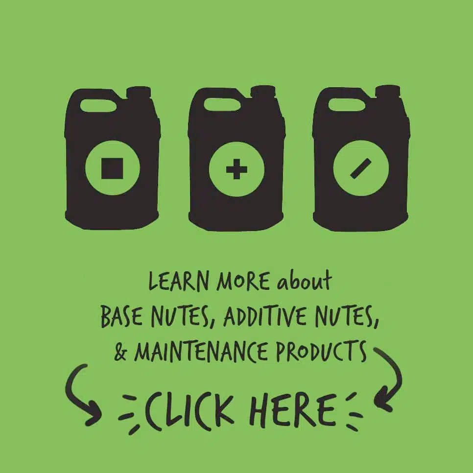 Understanding the Feed Program 2 Part Backcountry Blend Outdoor Feed