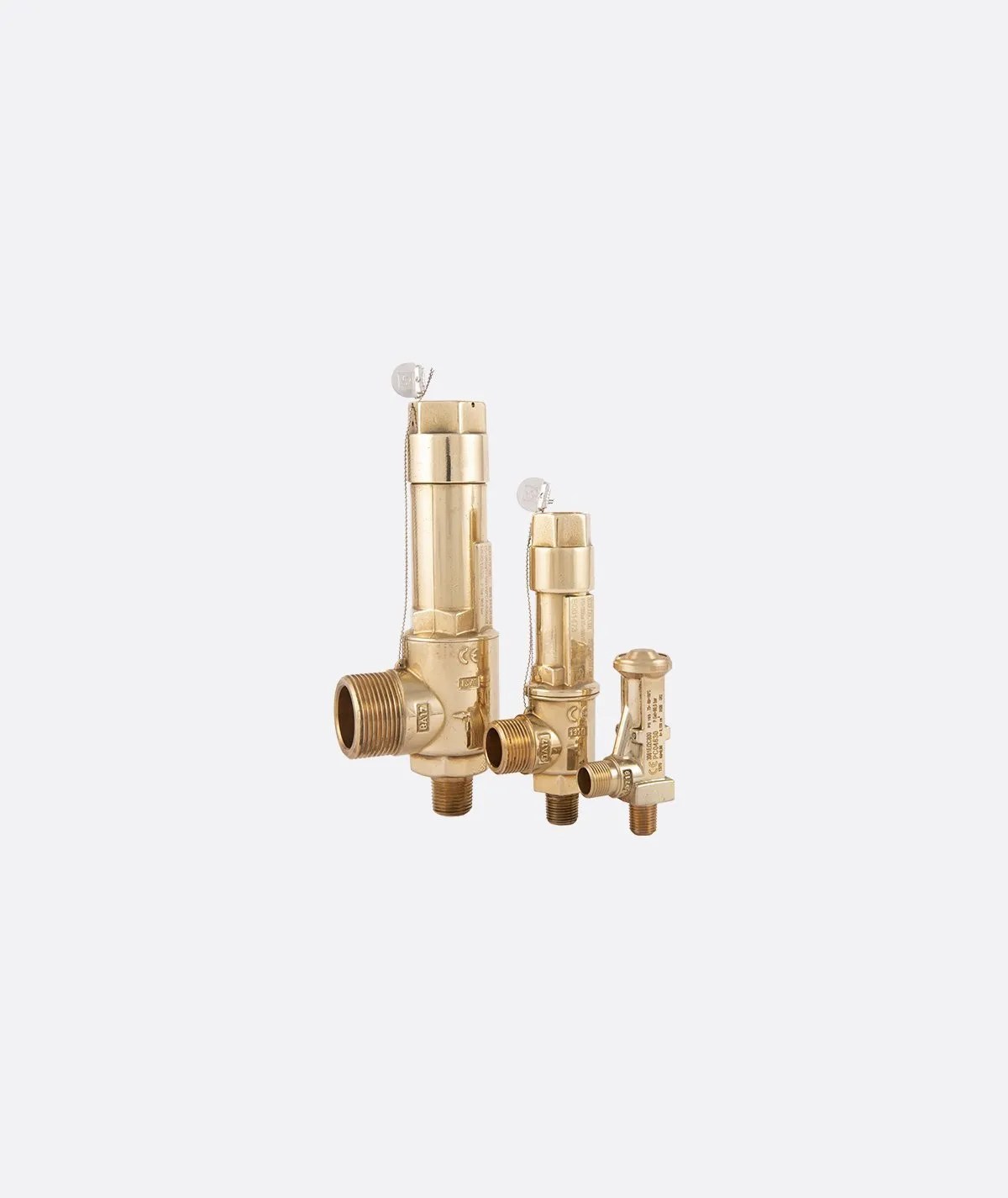 Castel Safety Valves R744