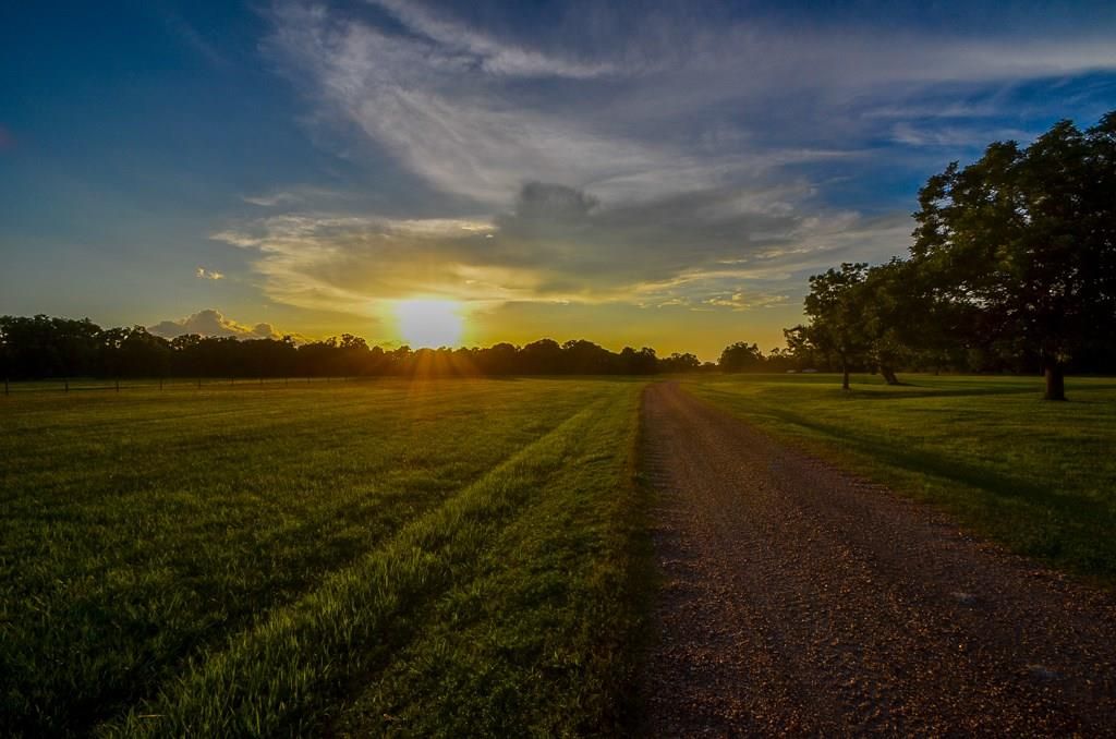 19220 Fm 442 Road, Needville, TX, 77461 MLS 7453126