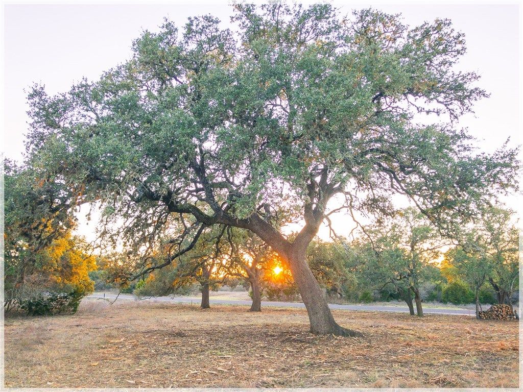 Lot 8 Sabinas Creek Ranch, Boerne, TX, 78006 MLS 7720052
