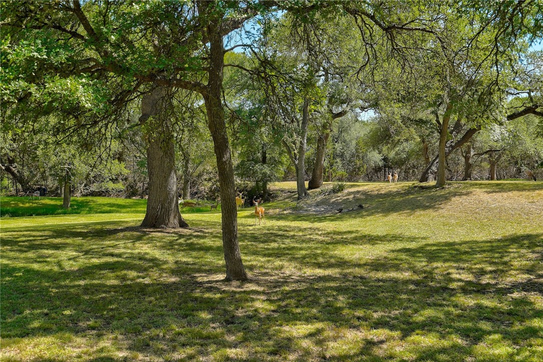 20 Long Creek Road, Austin, TX, 78737 MLS 1683468