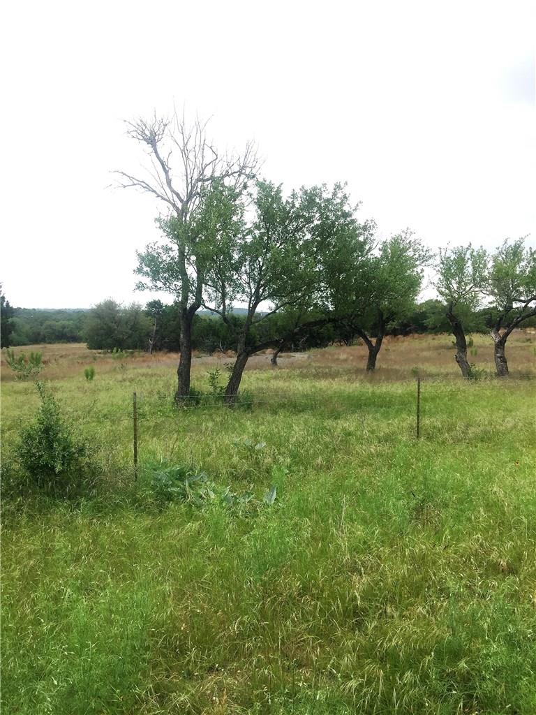 2225 W Fitzhugh Road, Dripping Springs, TX, 78620 MLS 5625476