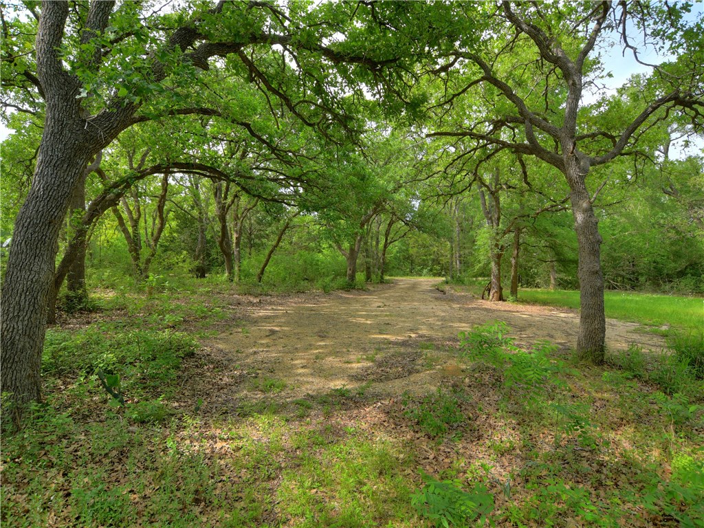 2920 Tumbleweed Trail, Dale, TX 78616 MLS 8248811