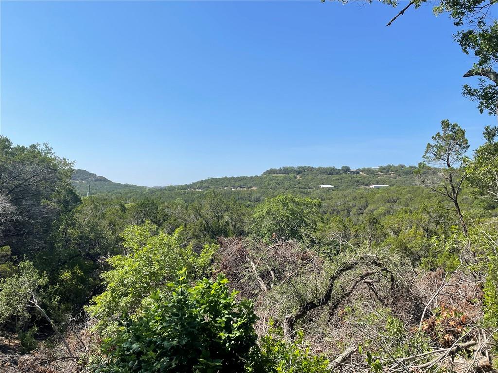 10629 Deer Canyon Rd, Jonestown, TX, 78645 MLS 8310343