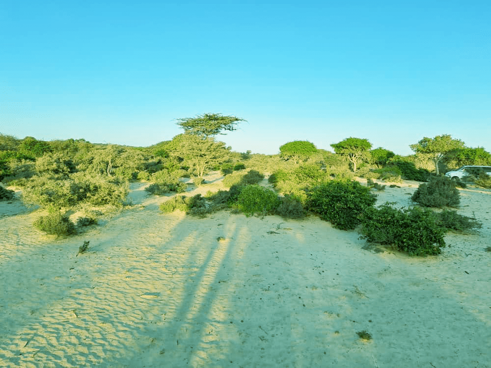 DHULAL IIB AH Dhulal Maalgashi Mogadishu, Somalia Raasimaal Real Estate