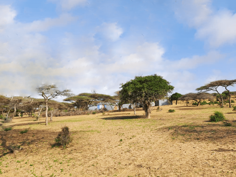 Dhulal Maalgashi Mogadishu, Somalia Raasimaal Real Estate