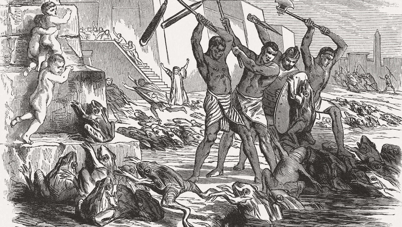 THE MYSTERY OF THE TEN PLAGUES Rabbi Pini Dunner
