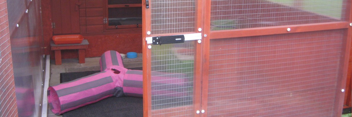 rabbit boarding Fareham Hampshire Luxury rabbit boarding, 24hr care