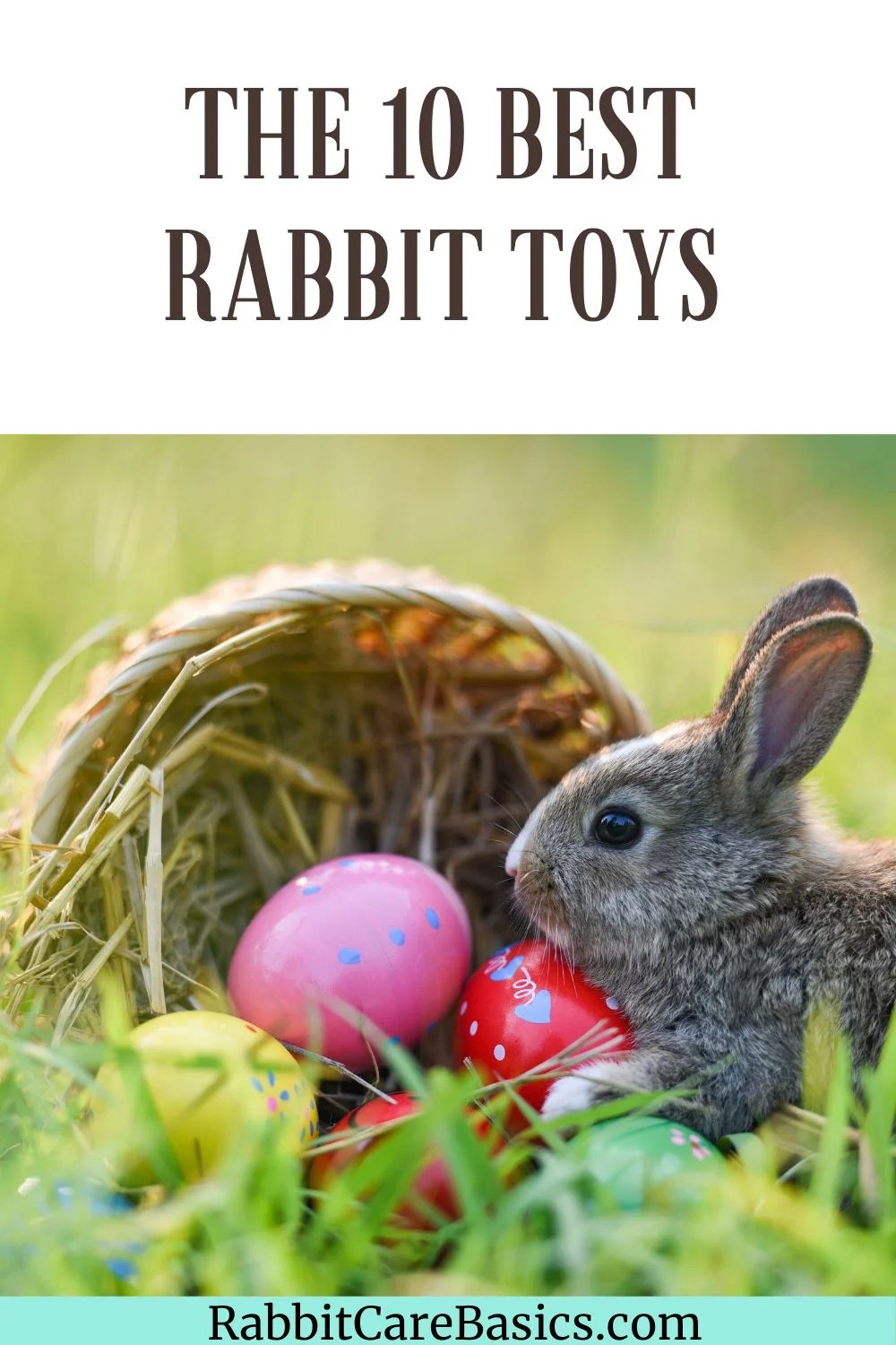 The 10 Best Rabbit Toys Comprehensive Buyer's Guide Rabbit Care Basics