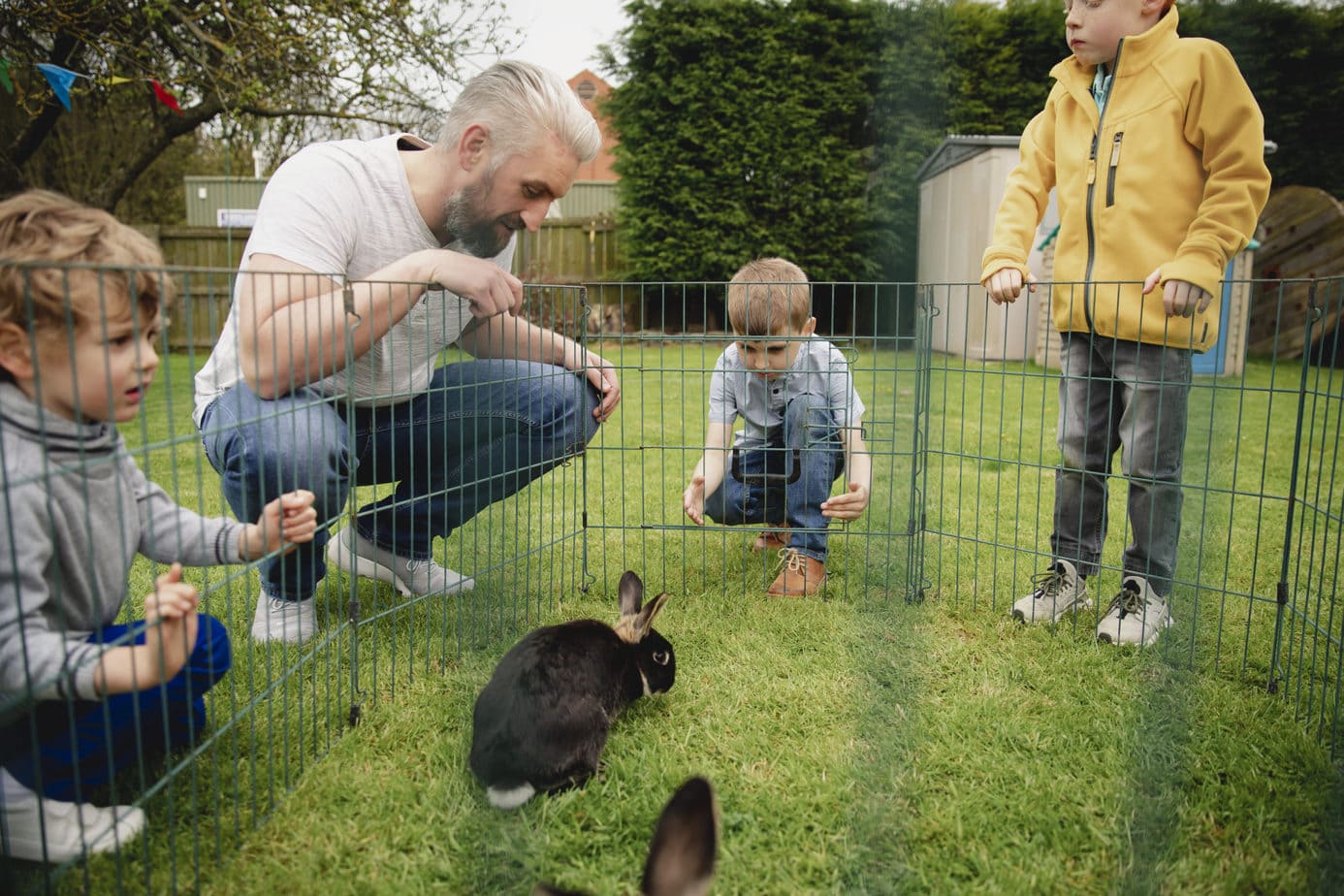 12 Effective Ways to RabbitProof a Gate Rabbit Informer