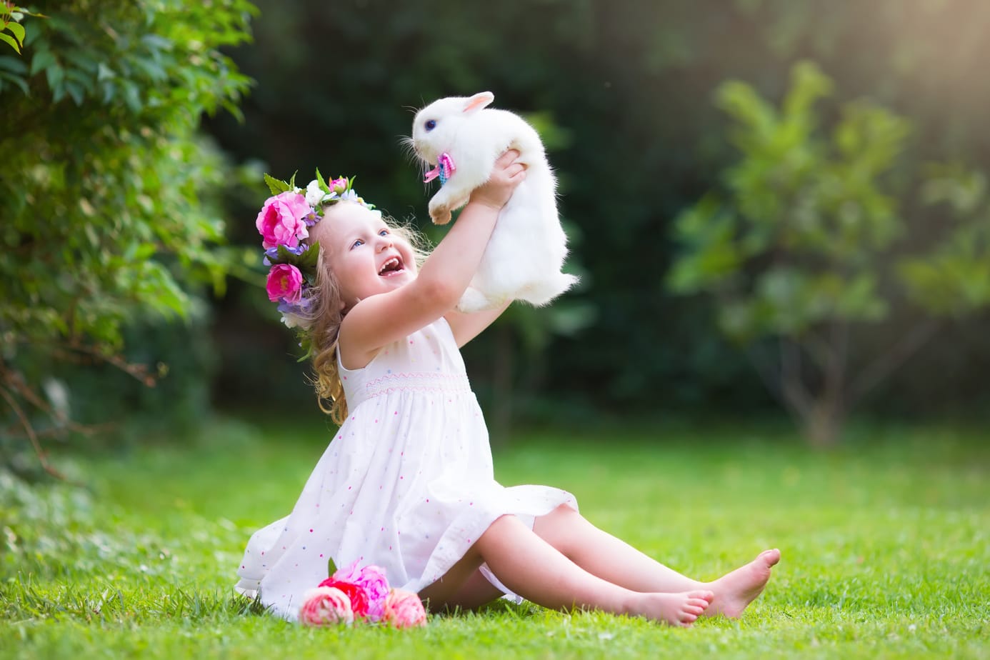 Are Rabbits Good Pets for Kids? The Pros and Cons Rabbit Informer