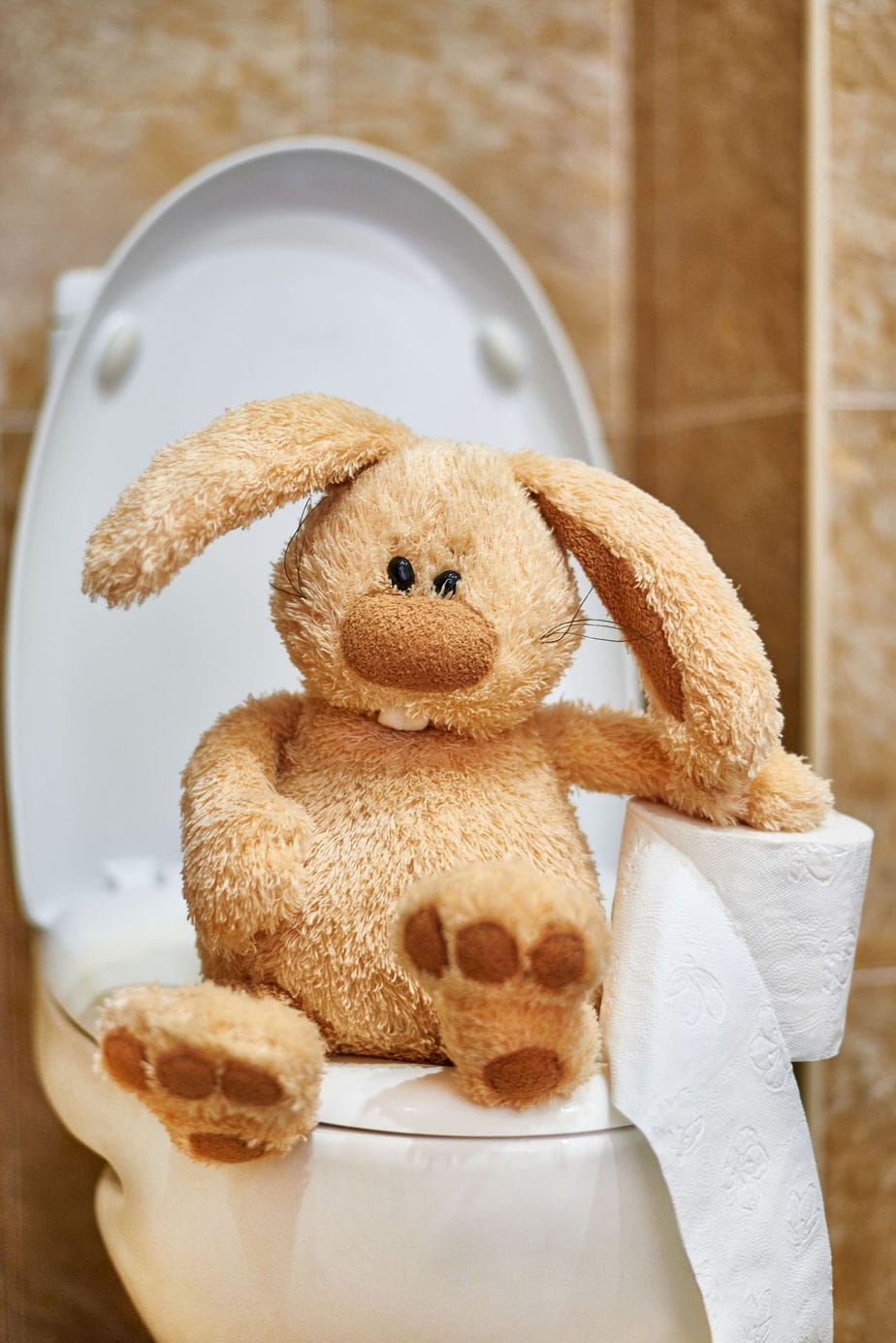 Do Baby Rabbits Poop More? What You Must Know Rabbit Informer