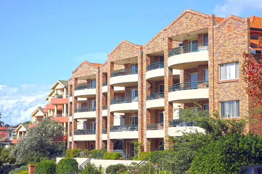 Are Rabbits Good Apartment Pets? 10 Things To Know.