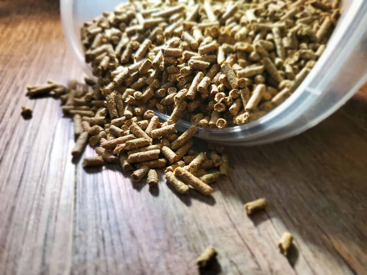 Why Do Rabbits Dump Their Food and How To Stop It!