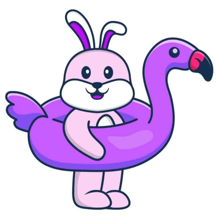 Rabbits And Water Do Rabbits Like Water And Can They Swim?