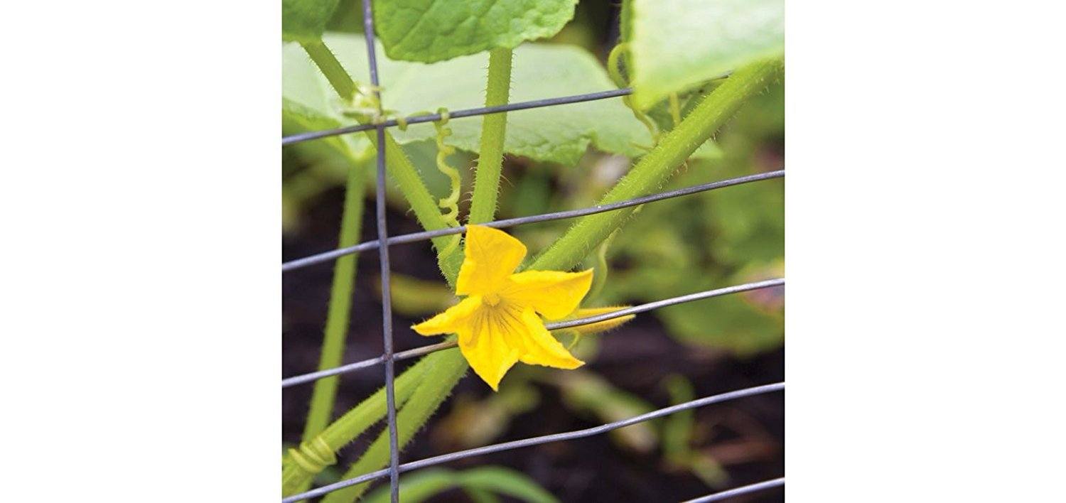 The 2 Best Rabbit Fences for Gardens Rabbit Guard Fence and Yardgard