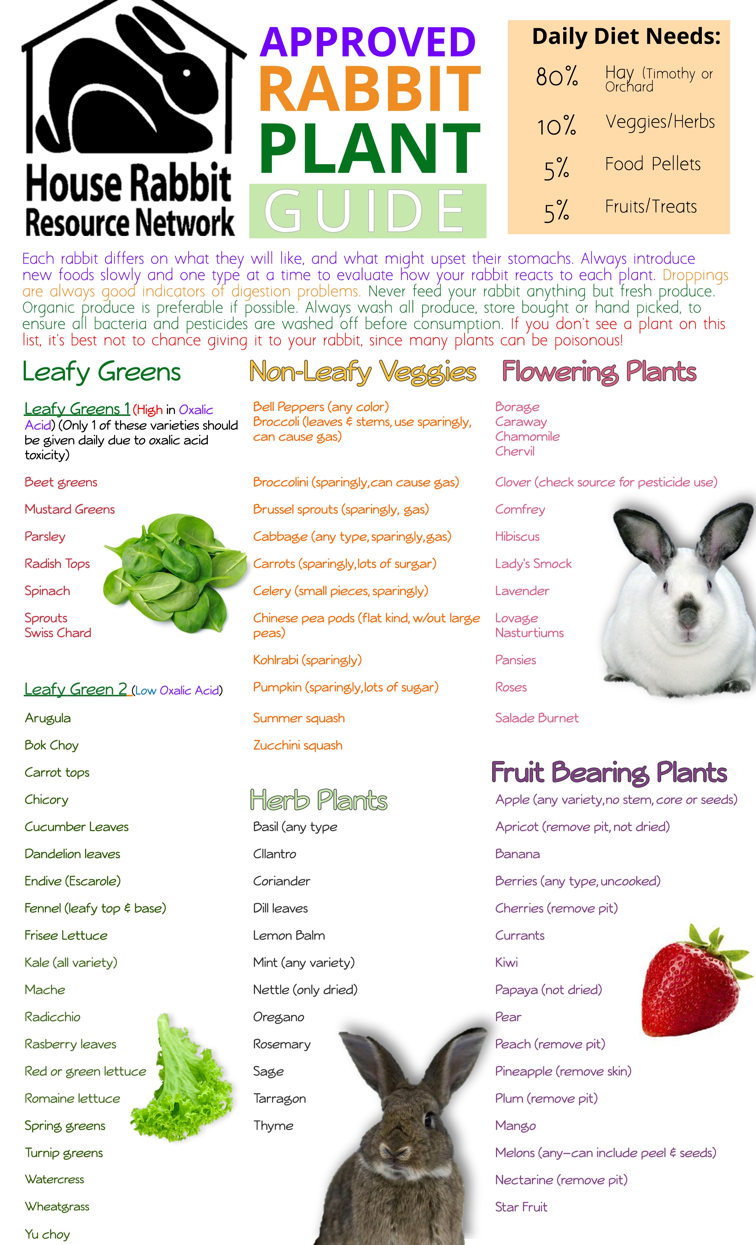 What do Rabbits Eat Rabbit Diets House Rabbit Resource Network