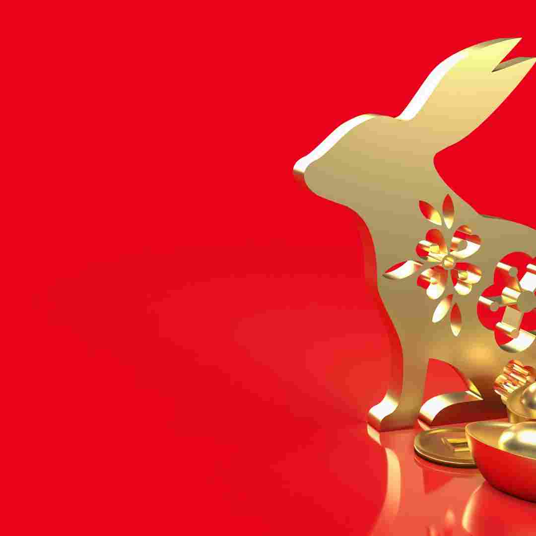 Rabbit and Dragon Compatibility Can These Chinese Zodiac Signs Get Along?