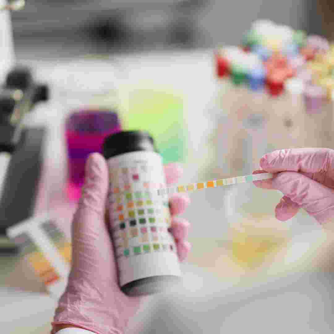 Understanding Rabbit Health Why Would a Rabbit Pee Blood? Exploring Causes and Solutions