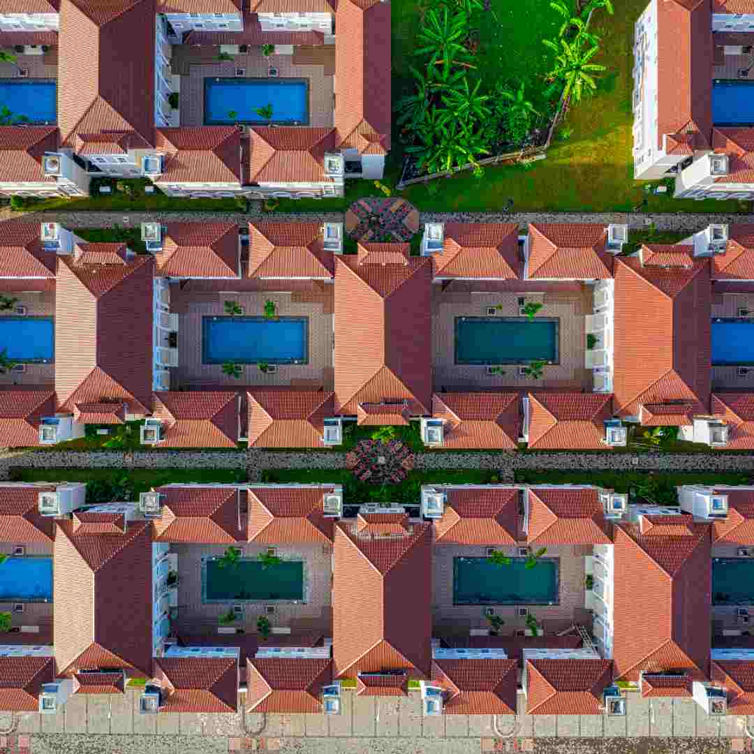 Minecraft Rabbits What Do They Eat and How to Feed Them?