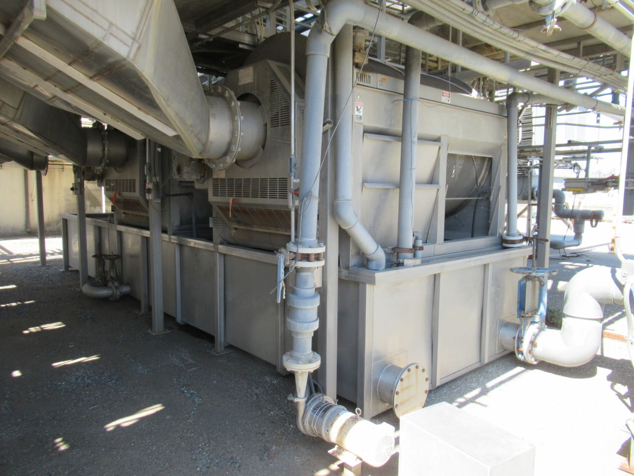 Tomato Canning Plant Day 1 Rabin Worldwide