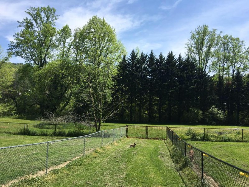 Shady Oaks Boarding Kennel Rabun County Chamber of Commerce